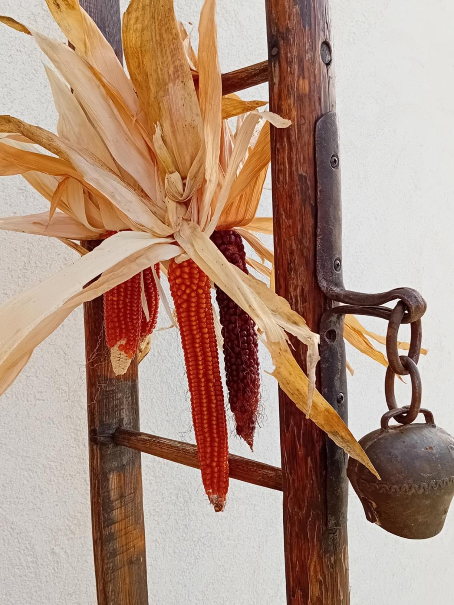 Ca Sul Dos Appartement Trente Buitenkant foto